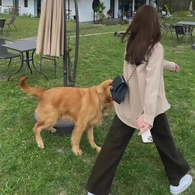 心痕如诗